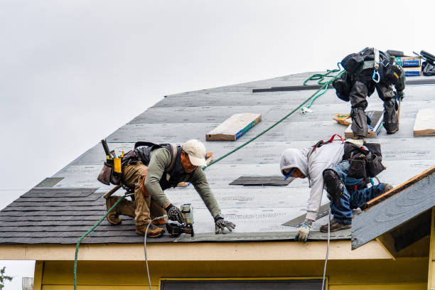 Professional Roofing technician working in Manton, CA